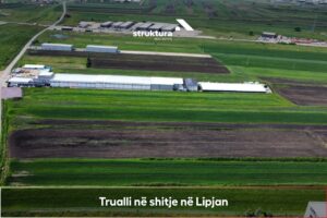 Trualli ne shitje, ne Livagje/Lipjan!